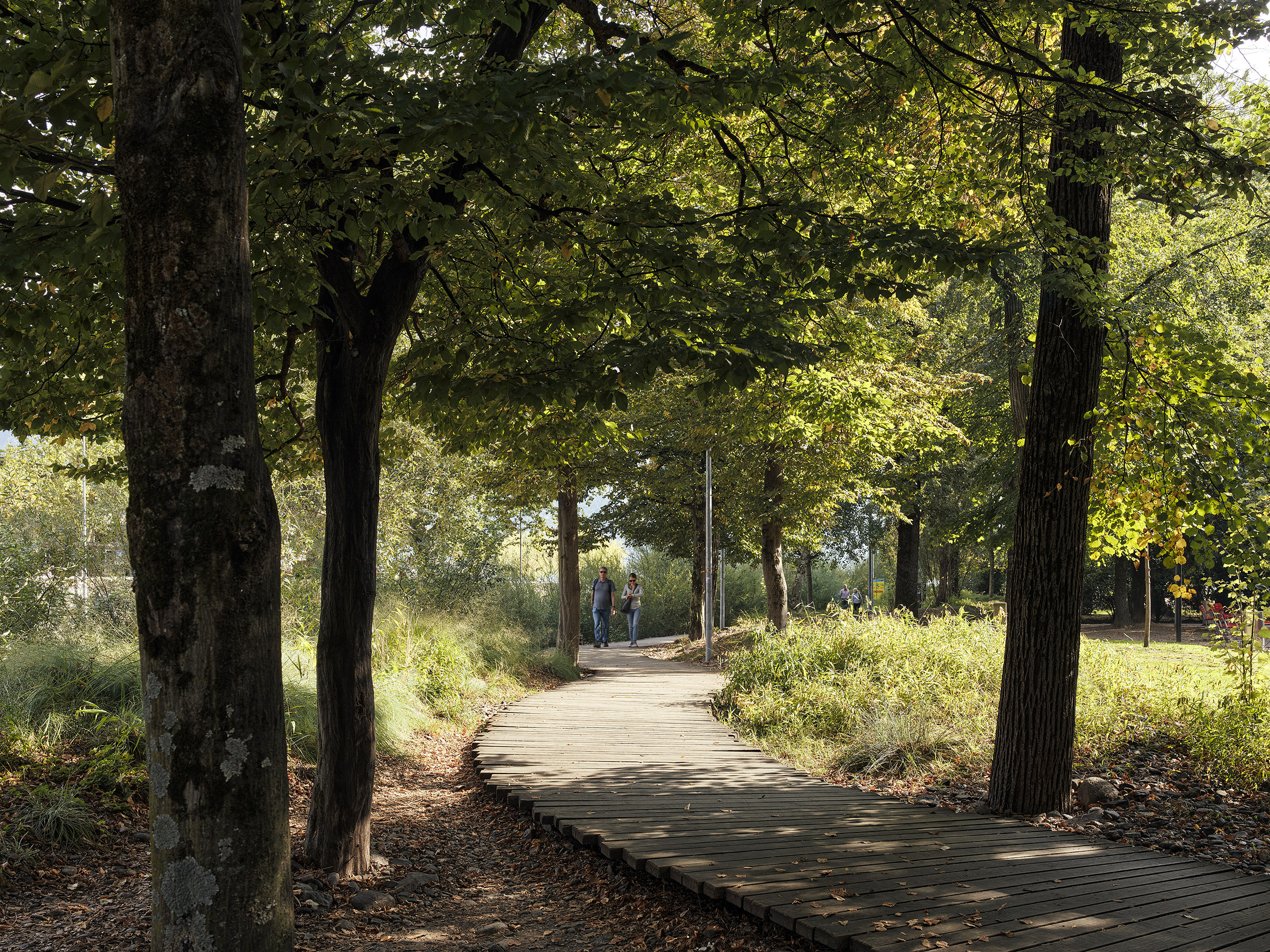 Ahp0053 CASS AIQ4 002382 C